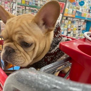 Meet your Posher, Patty